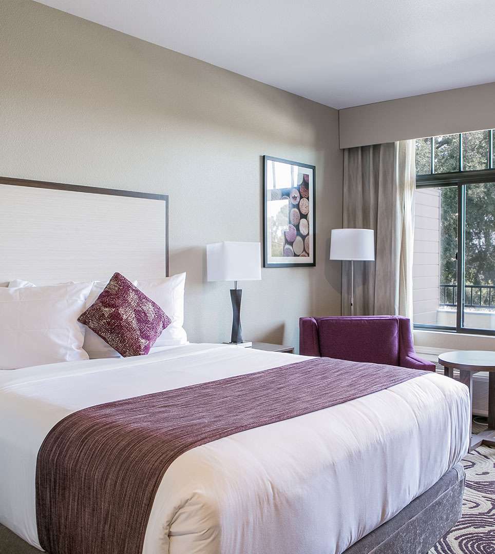 EXPLORE OUR BOUTIQUE GUEST ROOMS