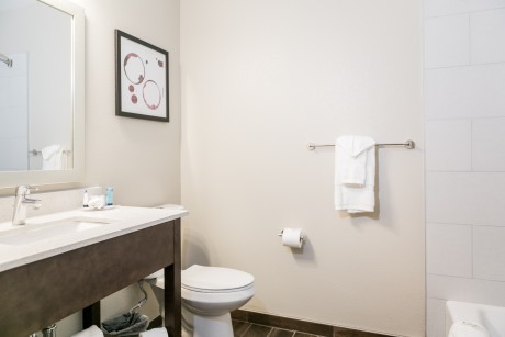 Hotel Siri Downtown Paso Robles - Guest Bathroom