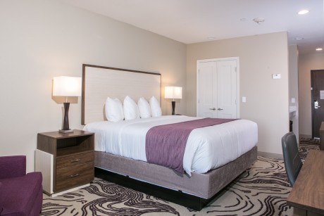 Hotel Siri Downtown Paso Robles - Guest Room