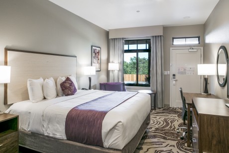 Hotel Siri Downtown Paso Robles - Guest Room